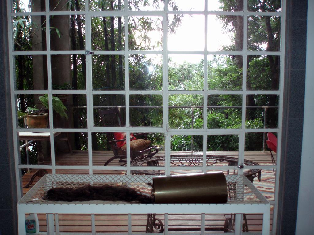 B&B Vitoria Regia Rio de Janeiro Camera foto